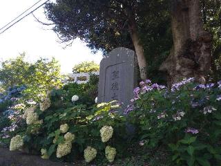 竹原神社の参拝記録(桃さん)