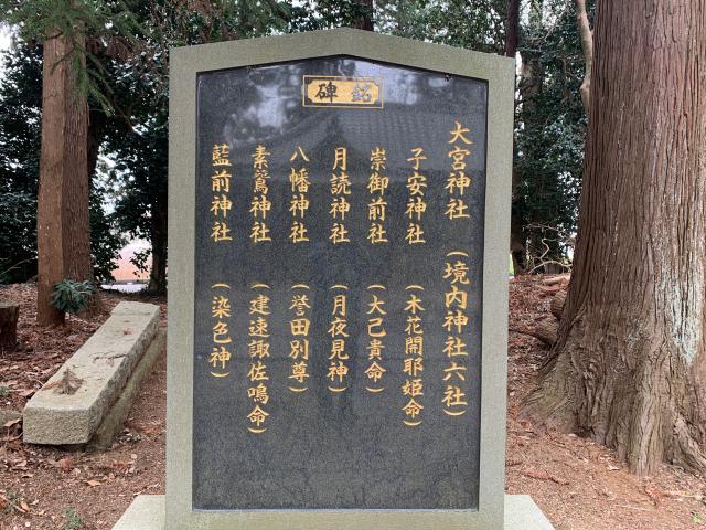 茨城県小美玉市上玉里1119番地 大宮神社の写真3