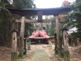 大宮神社の参拝記録(さくらもちさん)