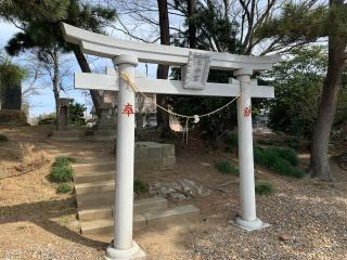 大杉神社の参拝記録(智恵子さん)