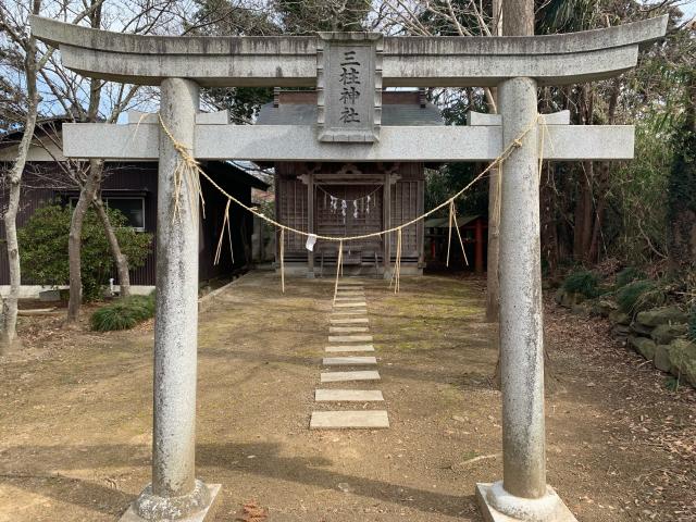 芝崎神社の参拝記録3