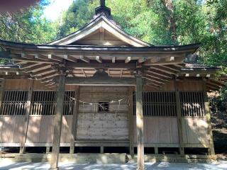 芝崎神社の参拝記録(智恵子さん)
