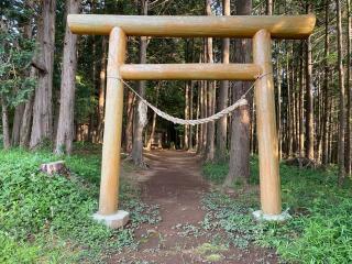 鹿島神社の参拝記録(さくらもちさん)