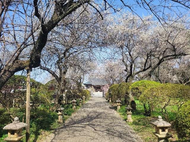 諏訪山 光國院 東持寺の写真1