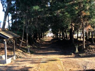 阿波山上神社の参拝記録(みつをさん)