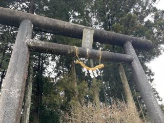 鹿島神社の参拝記録(智恵子さん)