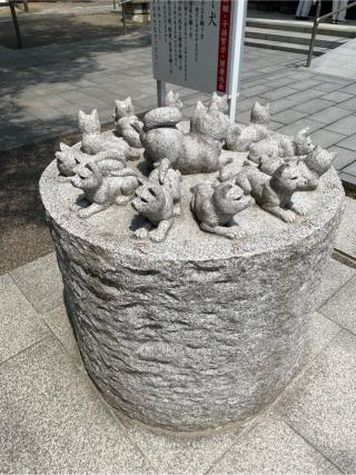 大神宮（村松大神宮）の参拝記録(ギャズさん)