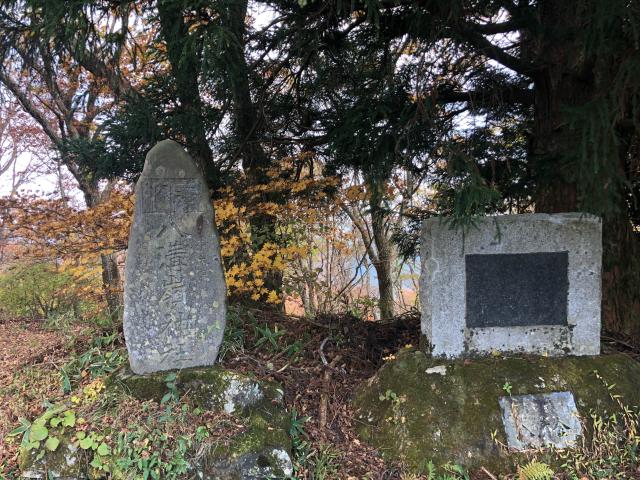 茨城県久慈郡大子町上野宮２１２９ 八溝嶺神社の写真3