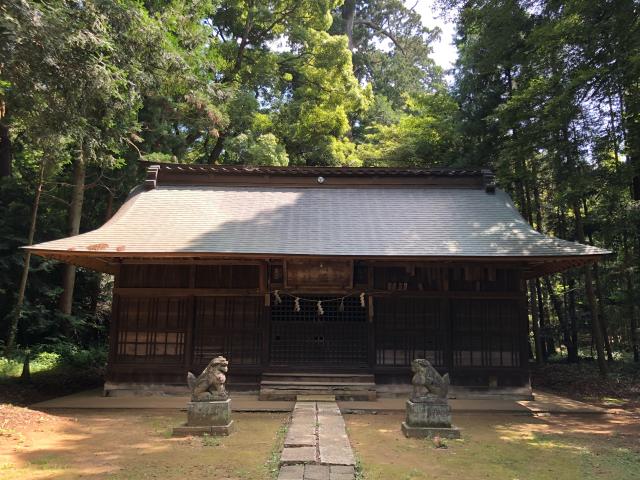 阿彌神社（阿見町竹来）の参拝記録5