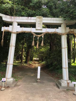 阿彌神社（阿見町竹来）の参拝記録(m.mさん)