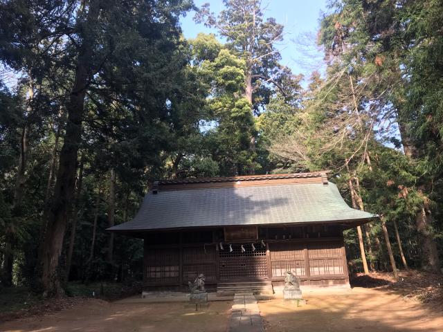 阿彌神社（阿見町竹来）の参拝記録4