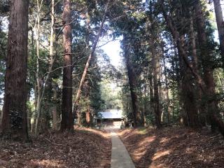 阿彌神社（阿見町竹来）の参拝記録(おりにゃんさん)
