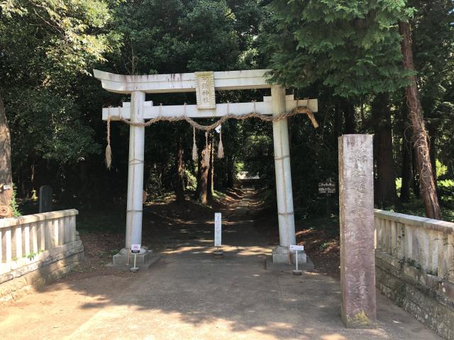 阿彌神社（阿見町竹来）の写真1