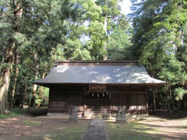 阿彌神社（阿見町竹来）の参拝記録6