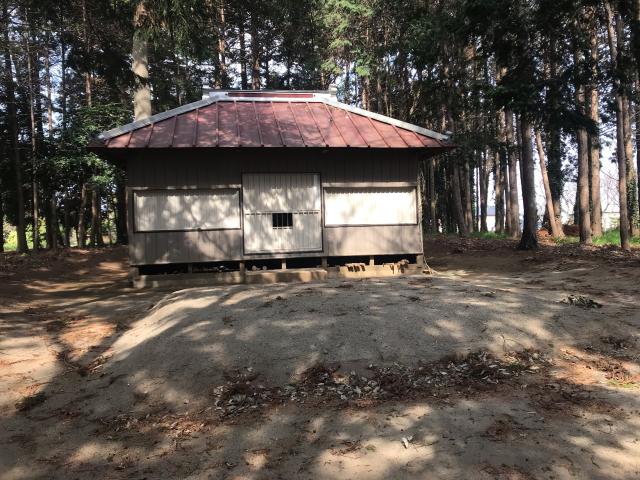 茨城県稲敷郡阿見町大室419-5 室崎神社の写真2