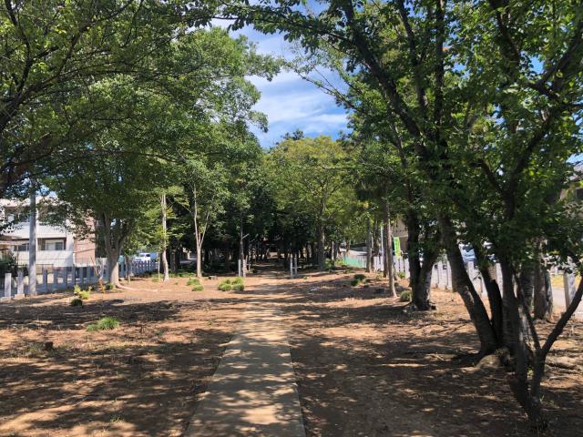 茨城県稲敷郡阿見町中郷2-25 阿彌神社（阿見町中郷）の写真7