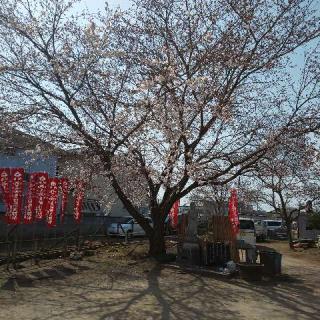 歓喜山　四恩寺の参拝記録(しろぎすさん)