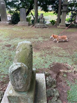 塚崎香取神社の参拝記録(りんごさん)