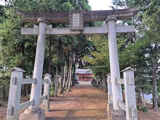 塚崎香取神社の参拝記録(のりさん)