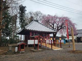谷中山 宝性院の参拝記録(まっきーさん)