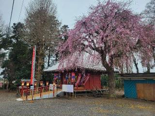 谷中山 宝性院の参拝記録(まっきーさん)