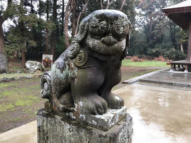 茨城県北相馬郡利根町立木882番地 蛟蝄神社奥の宮の写真5