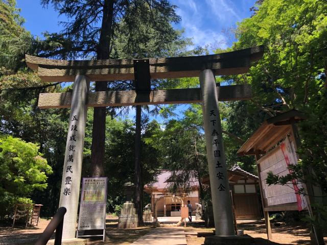 茨城県北相馬郡利根町立木882番地 蛟蝄神社奥の宮の写真2