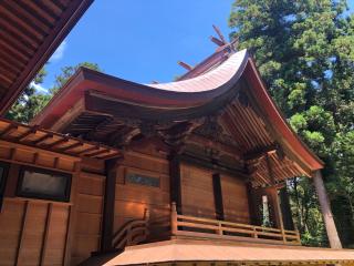 蛟蝄神社奥の宮の参拝記録(みつをさん)