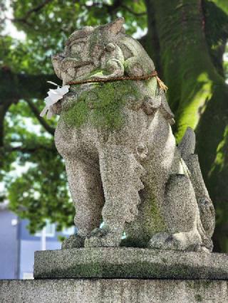 島田八坂神社の参拝記録(たけちゃ～ん⚾さん)