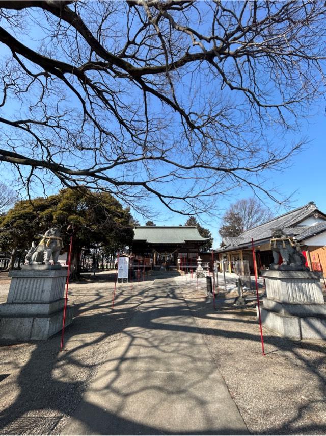島田八坂神社の参拝記録3