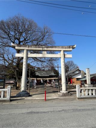 島田八坂神社の参拝記録(こうさん)