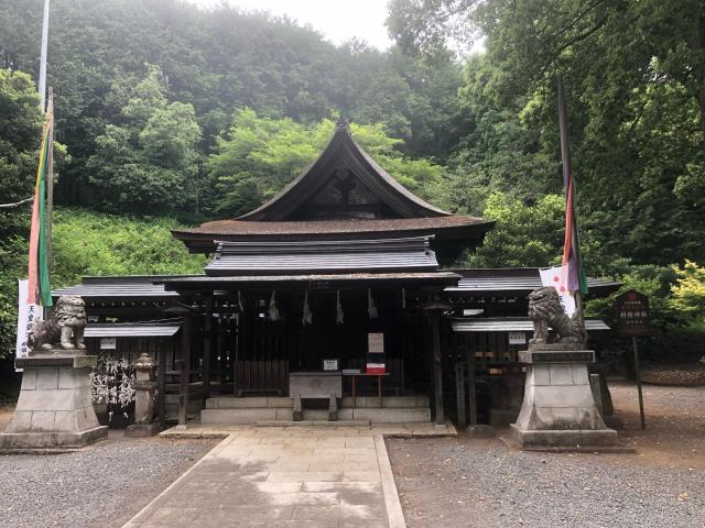 栃木県栃木市岩舟町小野寺4697 村檜神社の写真8