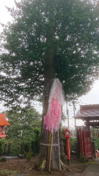 平出雷電神社の参拝記録(のりさん)