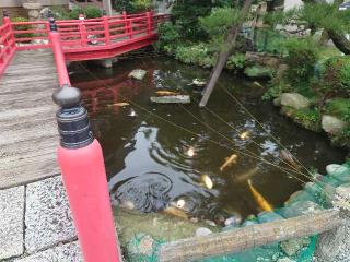 今泉八坂神社の参拝記録(🐺⛩️🐺さん)