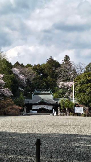 栃木縣護国神社の参拝記録(あにぃさん)