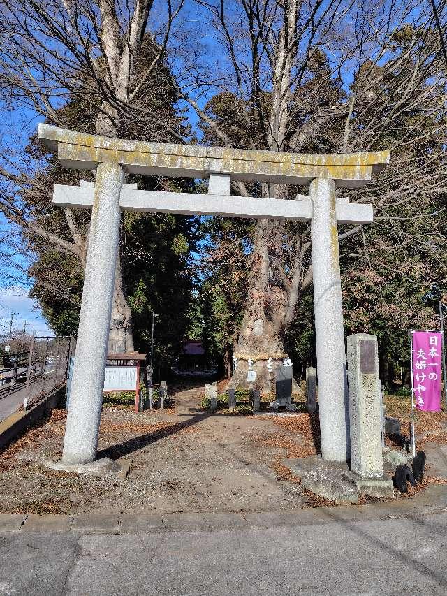 智賀都神社の参拝記録3