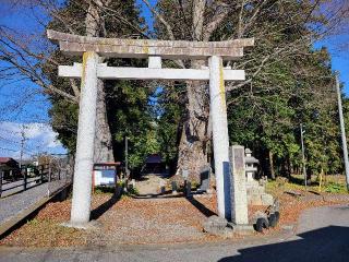 智賀都神社の参拝記録(まっきーさん)
