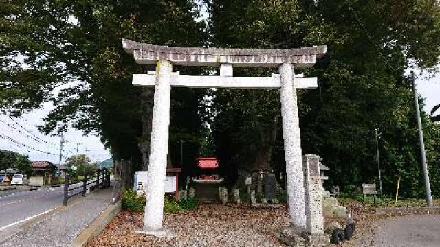 智賀都神社の写真1