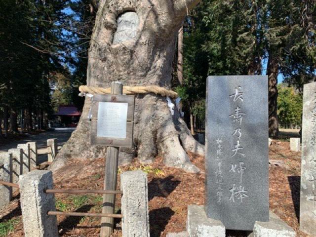 栃木県宇都宮市徳次郎町2478 智賀都神社の写真4