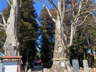 智賀都神社の参拝記録(さくらもちさん)