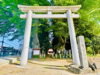 智賀都神社の参拝記録(shikigami_hさん)