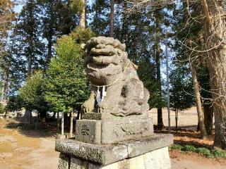 高龗神社の参拝記録(飛成さん)