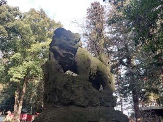 大田原神社の参拝記録(さとみさん)