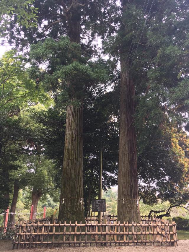 栃木県大田原市山の手2-2039 大田原神社の写真4