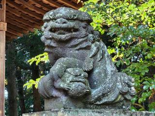 髙椅神社の参拝記録(のりさん)