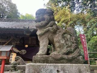 間々田八幡宮の参拝記録(さとみさん)