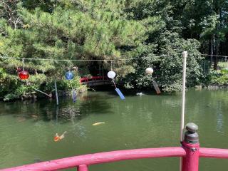 間々田八幡宮の参拝記録(悠馬さん)