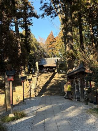 間々田八幡宮の参拝記録(ガーネットさん)