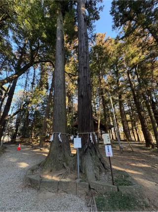 間々田八幡宮の参拝記録(ガーネットさん)