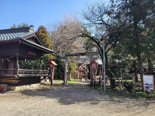 篠塚稲荷神社の参拝記録(まっきーさん)